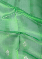 Load image into Gallery viewer, Panchompali Ikat silk saree in light green and red