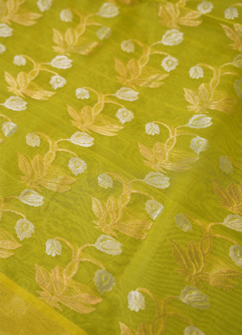 Banarasi tissue silk saree