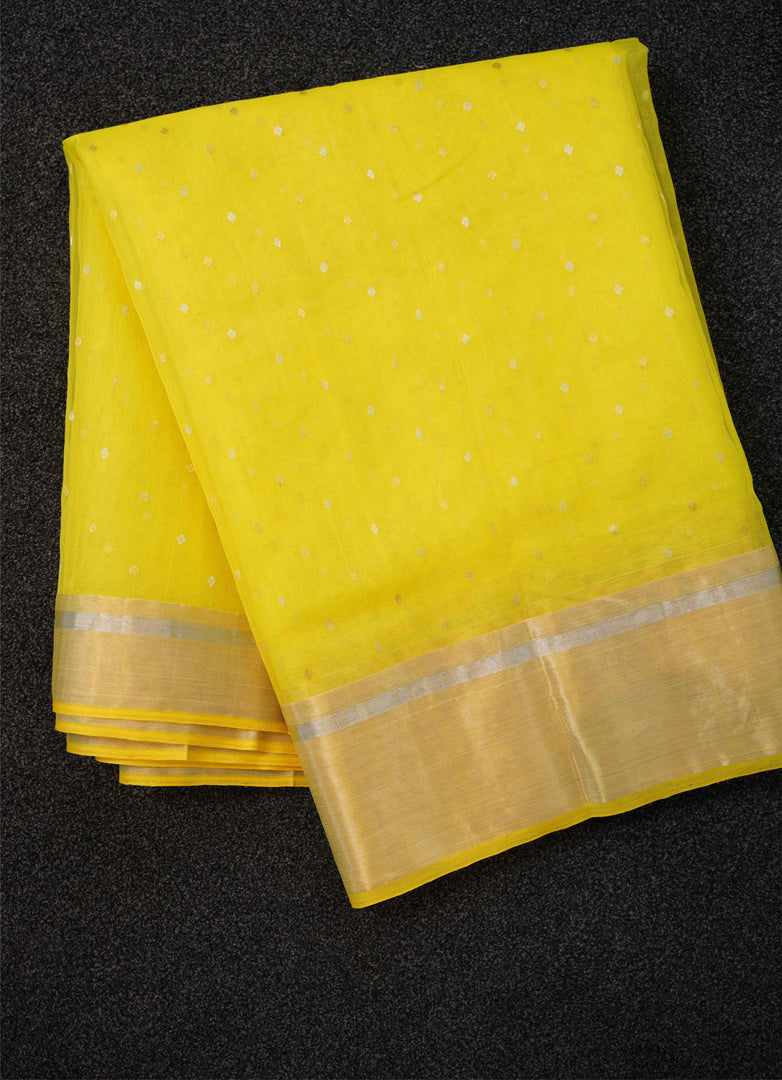 Banarasi tissue silk saree