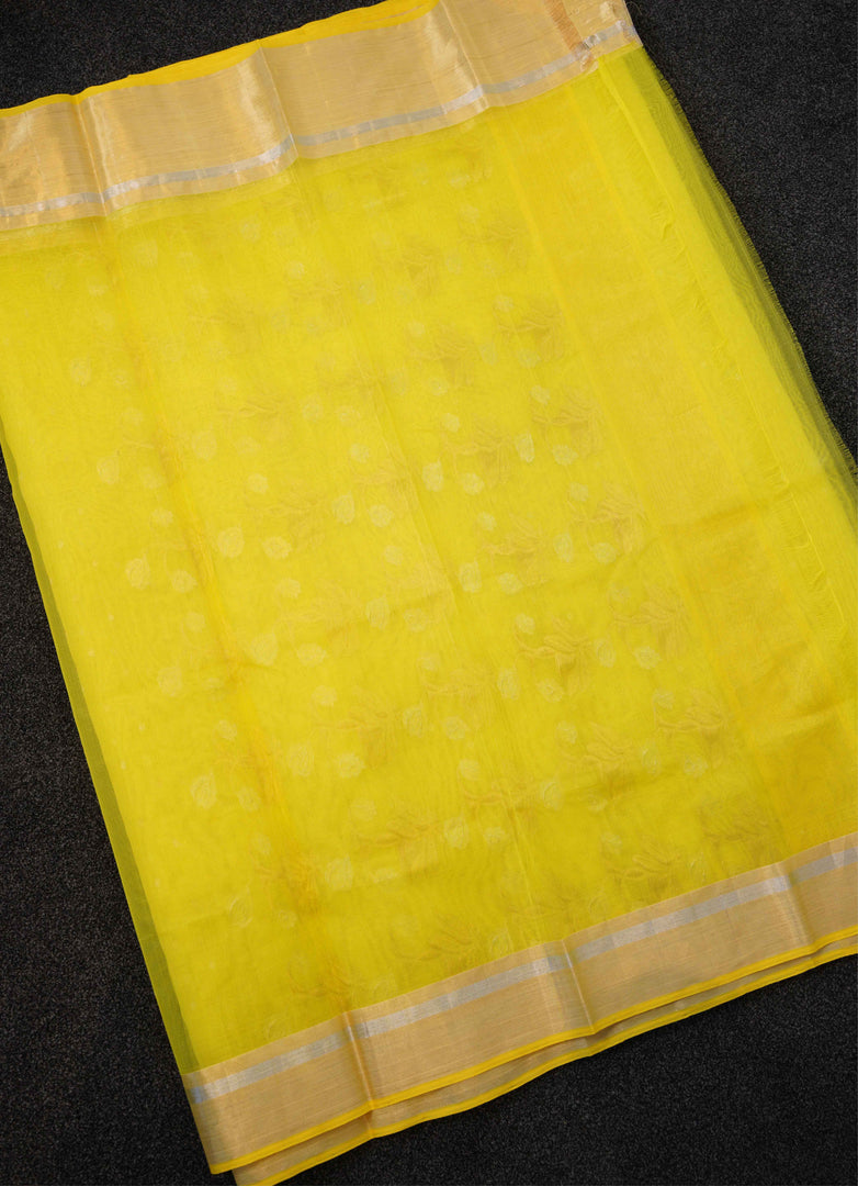 Banarasi tissue silk saree
