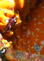 Load image into Gallery viewer, Parsi Gara embroidery on Mastered colour Gorgette