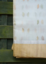 Load image into Gallery viewer, Chanderi Silk Saree with Golden border