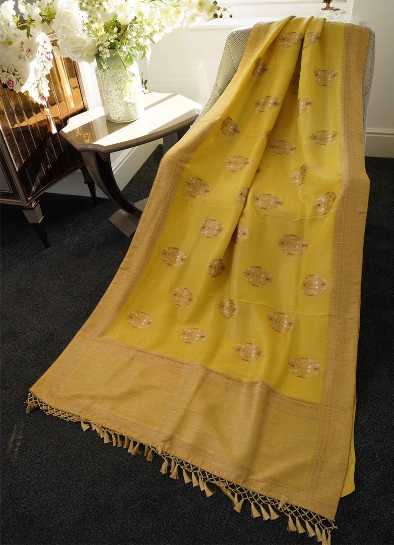 Banarasi silk saree