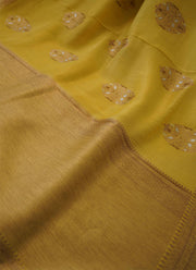 Banarasi silk saree