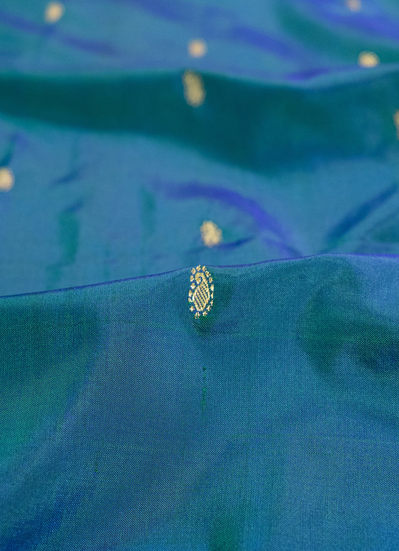 Peacock blue with Paithani Border