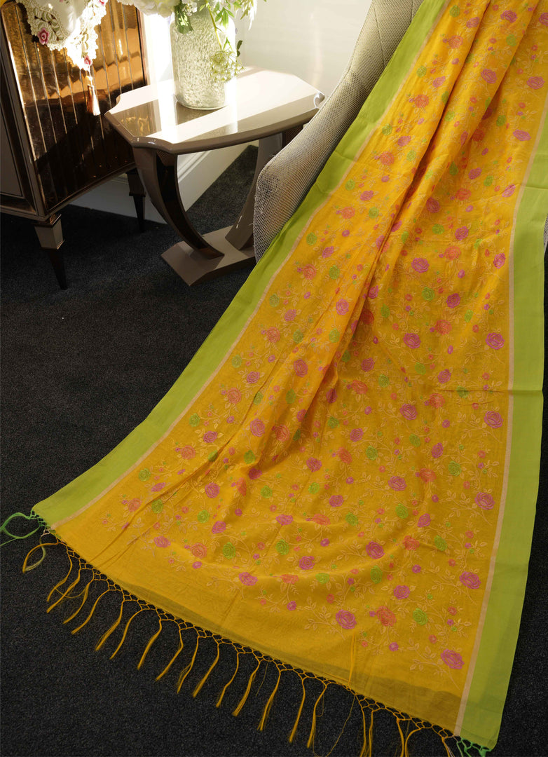 Banarasi embroidery half silk saree