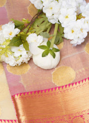 Organza saree with Kanjipuram border