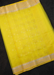 Banarasi tissue silk saree
